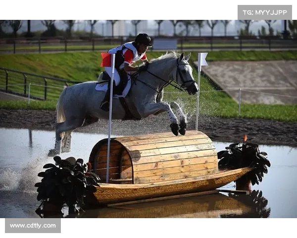 全运会马术测试赛延期 场地排水系统紧急改造确保顺利进行